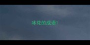 冰花的成语