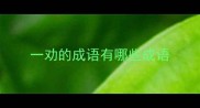 一劝的成语有哪些成语