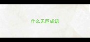 什么无巨成语