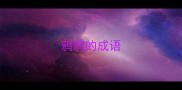 鸦鸦的成语