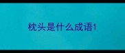 枕头是什么成语