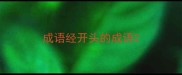 成语经开头的成语