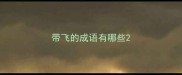 带飞的成语有哪些