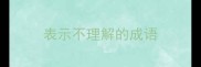 表示不理解的成语