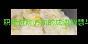 胆大心细职场进阶必知的成语智慧与应用指南