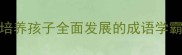 学霸妈妈私藏30个培养孩子全面发展的成语学霸秘籍附高效学习法