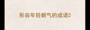 形容年轻朝气的成语