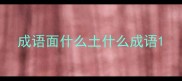 成语面什么土什么成语