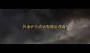 风雨开头成语有哪些成语
