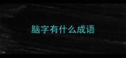脑字有什么成语