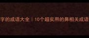 带鼻字的成语大全10个超实用的鼻相关成语及用法