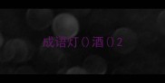 成语灯酒