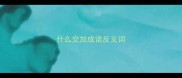 什么交加成语反义词