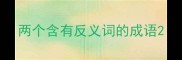 两个含有反义词的成语