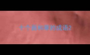 十个面和草的成语
