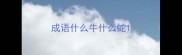 成语什么牛什么蛇