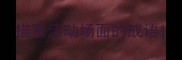 描写活动场面的成语