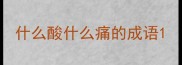 什么酸什么痛的成语