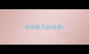 带有秋天的成语