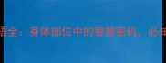 耳足相关的成语全身体部位中的智慧密码必知的趣味知识
