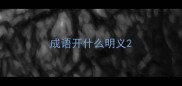 成语开什么明义