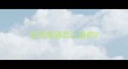 东西成语怎么说的