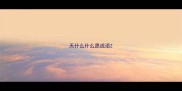 天什么什么愿成语