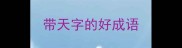 带天字的好成语