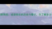 狐群狗党成语背后的历史与警示你了解多少