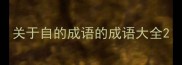 关于自的成语的成语大全