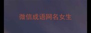 微信成语网名女生