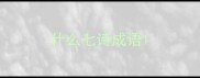 什么七诗成语