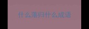 什么落归什么成语