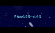情有的成语是什么成语