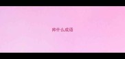 帅什么成语