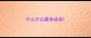 什么什么藏身成语