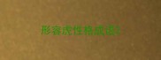形容虎性格成语