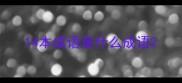 14本成语是什么成语
