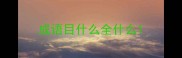成语目什么全什么