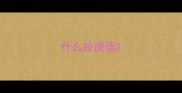 什么按成语