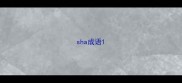 sha成语