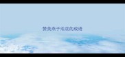 赞美燕子活泼的成语
