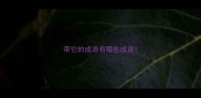 带它的成语有哪些成语