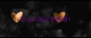 什么人的三字成语