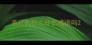 若什么什么什么成语吗