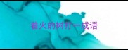 着火的树打一成语