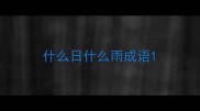 什么日什么雨成语