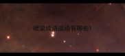 喂望成语成语有哪些