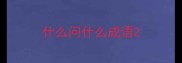 什么问什么成语