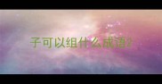 子可以组什么成语